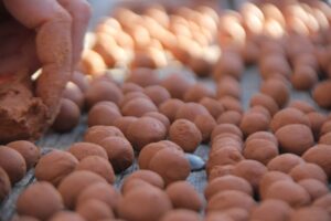 PROGRAM: How to make and use seed balls