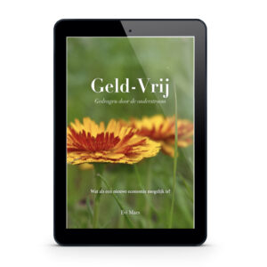 E-Boek Geld-Vrij door Evi Maes
