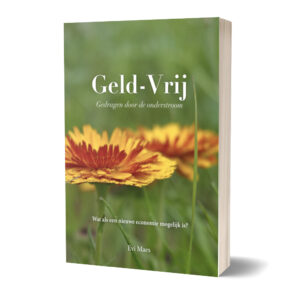 Boek Geld-Vrij door Evi Maes